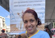 Adoção responsável ganha espaço em feira de animais neste domingo em João Monlevade
