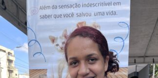 Adoção responsável ganha espaço em feira de animais neste domingo em João Monlevade