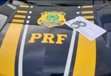 PRF prende foragido da Justiça por latrocínio na BR-381, em João Monlevade