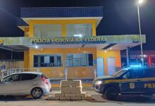 Casal é preso com aproximadamente 300 quilos de maconha transportados em carro na BR-381