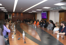 MPMG cria sistema para identificar casos de violência contra a mulher com maior risco