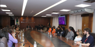 MPMG cria sistema para identificar casos de violência contra a mulher com maior risco