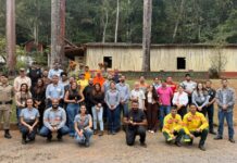 Entidades municipais e privadas projetam criação de rede regional permanente contra incêndios florestais