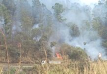 Queimadas provocam 92 ocorrências na rede elétrica e deixam mais de 46 mil pessoas sem energia em Minas