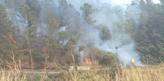 Queimadas provocam 92 ocorrências na rede elétrica e deixam mais de 46 mil pessoas sem energia em Minas