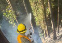 Brigada Florestal de João Monlevade abre inscrições para curso de formação de voluntários