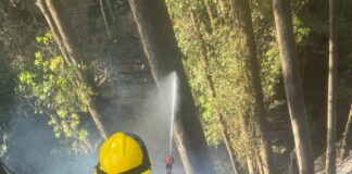 Brigada Florestal de João Monlevade abre inscrições para curso de formação de voluntários