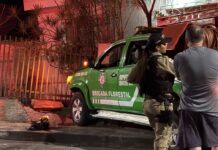 Viatura da Brigada Florestal colide contra muro durante atendimento a ocorrência