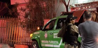 Viatura da Brigada Florestal colide contra muro durante atendimento a ocorrência