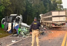 Colisão frontal entre micro-ônibus e carreta deixa 22 mortos e cinco feridos na BR-373 no Paraná