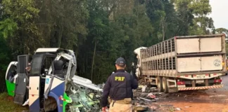 Colisão frontal entre micro-ônibus e carreta deixa 22 mortos e cinco feridos na BR-373 no Paraná