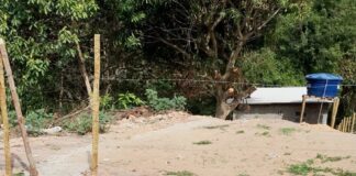 Corpo com sinais de violência é encontrado em residência no Cidade Nova