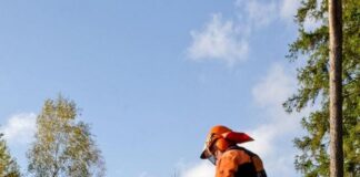 Inscrições abertas para curso de operação e manutenção de roçadeira no Parque do Areão