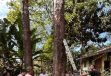 Treinamento aborda medidas de segurança para atividades realizadas em altura