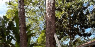 Treinamento aborda medidas de segurança para atividades realizadas em altura