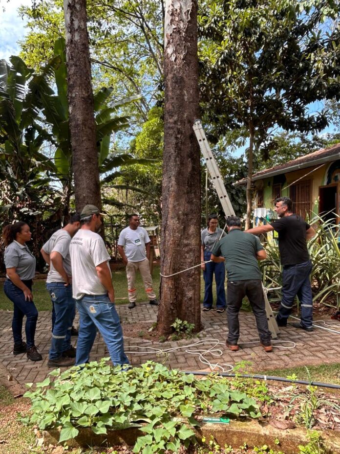 Capacitação (10)