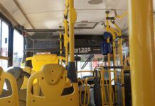 Transporte coletivo terá gratuidade das 7h às 19h no domingo de votação