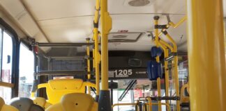 Transporte coletivo terá gratuidade das 7h às 19h no domingo de votação