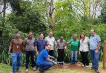 Codema realiza reunião mensal no Parque do Areão e planta mudas