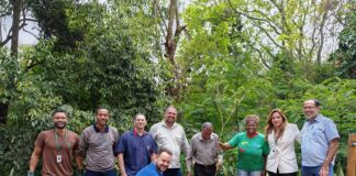 Codema realiza reunião mensal no Parque do Areão e planta mudas