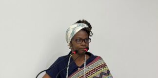 Representantes da AMAD e do Compir levam debate sobre racismo religioso e educação antirracista à Câmara