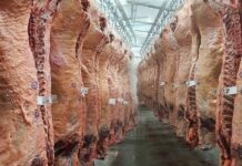 Brasil começa a pagar sobretaxa de 55% sobre carne bovina exportada à China