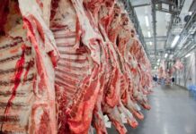 Cota chinesa faz exportação de carne bovina cair 27,1% em agosto