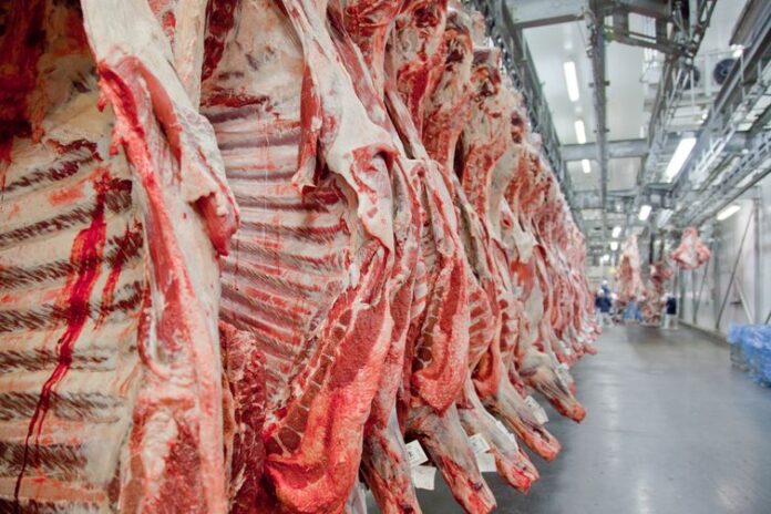 carne2