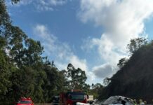 Motorista morre após acidente entre caminhonete e caminhão na BR-381, em João Monlevade