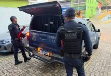 Homem e mulher são presos suspeitos de tráfico de drogas em São Gonçalo do Rio Abaixo