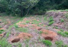 Mulher é agredida, amarrada em buraco e abandonada em área de mata em João Monlevade